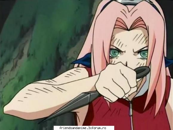 sakura &nbsp;